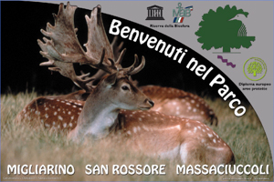 Parco di Migliarino Massaciuccoli San Rossore 49